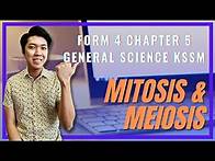 Video thumbnail for SCIENCE FORM 4 CHAPTER 5 KSSM || MITOSIS & MEIOSIS || I CAKAP ENGLISH