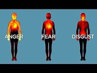 Video thumbnail for Science Bulletins: Mapping Emotions in the Body