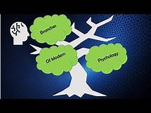Video thumbnail for Branches & Practitioners in Psychology