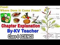 Video thumbnail for Food : Where does it come from / Class 6 Science Chapter 1 NCERT's Explanation by KV teacher