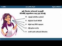Video thumbnail for Grade 11 | Unit 2 | ගෘහීය සම්පත් කළමනාකරණය | e-thaksalawa