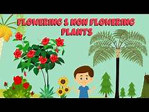 Video thumbnail for Flowering and non flowering plants | Plant life cycle | Video for Kids