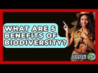 Video thumbnail for What Are 5 Benefits Of Biodiversity? - Ecosystem Essentials