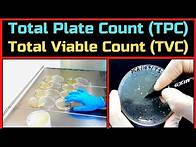 Video thumbnail for Total Plate Count (Total Aerobic Bacterial Count)_A Complete Procedure (BAM, Ch-3)