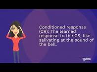 Video thumbnail for Understanding Classical Conditioning Learning Theory by Pavlov