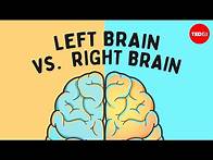 Video thumbnail for The left brain vs. right brain myth - Elizabeth Waters