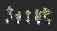 Video thumbnail for Plant In pot asset pack - Download Free 3D model by River Visual (@rivervisual)
