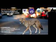 Video thumbnail for 'Wealth, Race, and Wildlife: The Impacts of Structural Inequality on Urban Wildlife' - Chris Schell