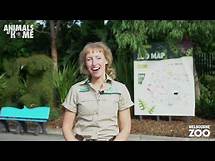Video thumbnail for Virtual Tour of Melbourne Zoo