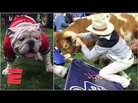 Video thumbnail for Bevo charges Uga at 2019 Sugar Bowl | College Football Highlights