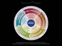 Video thumbnail for Why Develop Emotional Intelligence and Why Use the EQ-i Assessment?