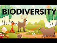 Video thumbnail for Biodiversity- What is Biodiversity & Importance in Ecosystem