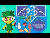 Video thumbnail for Classifying Animals | KS1 Science | STEM and Beyond