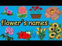 Video thumbnail for Learn Flower's Names with pictures and correct Pronunciation | Flower's names Vocabulary
