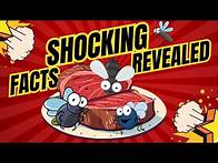 Video thumbnail for 35 Unbelievable Facts That Sound Like Lies! | Weird But True Facts!
