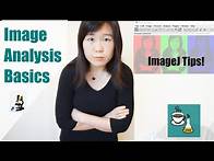 Video thumbnail for ImageJ 101 For Every PhD with Image Data!