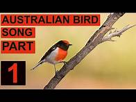 Video thumbnail for AUSTRALIAN BIRDSONG PART 1 . A celebration of the songs, calls and sounds of Australian Birds.