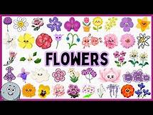 Video thumbnail for Discover 40 Types of Flowers Name for Kids - Learn Flowers Types for Children