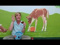 Video thumbnail for Baby Sign Basics - Color Signs