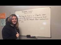 Video thumbnail for How to write a 6th grade level paragraph beyond the basics!