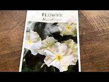 Video thumbnail for How I Grow Moonflowers from Seed