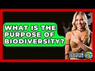 Video thumbnail for What Is The Purpose Of Biodiversity? - Ecosystem Essentials