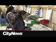 Video thumbnail for Canada's unemployment rate creeps up amid trade uncertainty