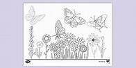 Video thumbnail for Printable Colouring Page of Flowers and Butterflies - Twinkl