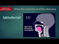 Video thumbnail for Introduction to Articulatory Phonetics (Consonants)