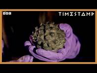Video thumbnail for Skara Brae: The 'Dark Secret' Hidden Inside 5,000-Year-Old House | BBC Timestamp