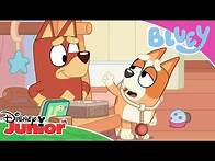 Video thumbnail for 🚑 Dr Bingo | Bluey | Disney Kids