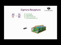 Video thumbnail for Capture Recapture - Corbettmaths