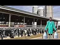 Video thumbnail for High Yield Dairy Farming in Uganda: The GBA Next Generation Farm Success Story