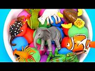 Video thumbnail for Learn Wild Zoo Animal Facts For Kids - Educational Video For Kids