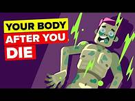 Video thumbnail for What Happens to Your Body After You Die?