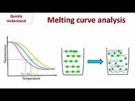 Video thumbnail for Melting curve analysis