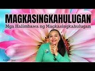 Video thumbnail for Magkasingkahulugan | Mga Halimbawa ng mga Salitang Magkasingkahulugan | Araling Pilipino
