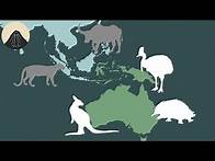 Video thumbnail for The Story Behind Australia's Weird Animals