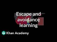 Video thumbnail for Operant conditioning: Escape and avoidance learning | Behavior | MCAT | Khan Academy