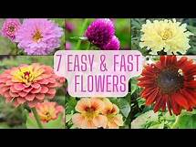 Video thumbnail for 7 Easy & Fast Flowers To Grow From Seed. Beginner Friendly Annual Flowers!