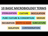 Video thumbnail for Basic Terms used in Microbiology | Class for Microbiology Freshers | Concepts in Microbiology |