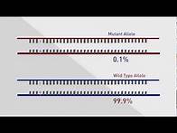 Video thumbnail for TaqMan® and castPCR™ for Somatic Mutation Detection in Cancer Genes