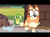 Video thumbnail for 🔴LIVE: Bluey and Bingo's Animal Moments | 1 HOUR+ | Bluey