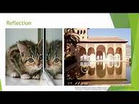 Video thumbnail for Georgia Standards of Excellence - 4th Grade Physics Standards Explained