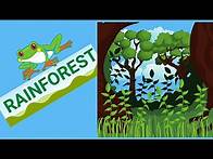 Video thumbnail for Tropical Rainforest for kids | Rainforest Animals | Kids educational video