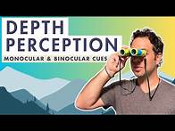 Video thumbnail for Monocular Cues and Binocular Cues - AP Psychology - What is Depth Perception?
