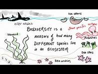 Video thumbnail for Biodiversity Index Calculations