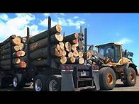 Video thumbnail for The US Sawmill: How Hardwood Lumber is Made