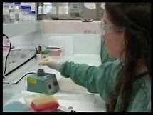 Video thumbnail for What is Forensic Science?