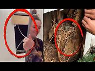 Video thumbnail for Incredible Things People Found Hidden in Their Homes